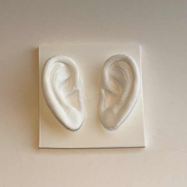 Alternative view of CREATE - The Ear - 10x10